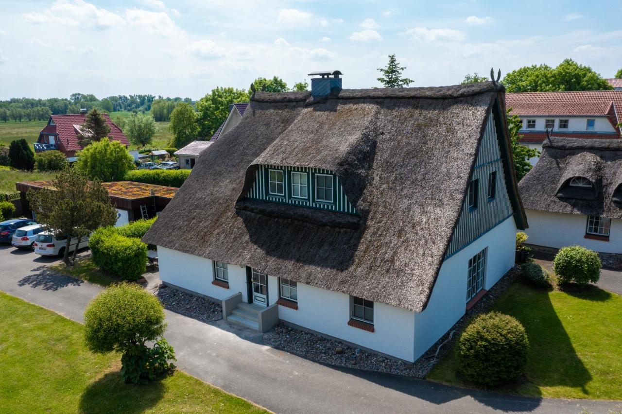 An der Steilküste Wohnung 03 Ostseebad Boltenhagen Exterior foto
